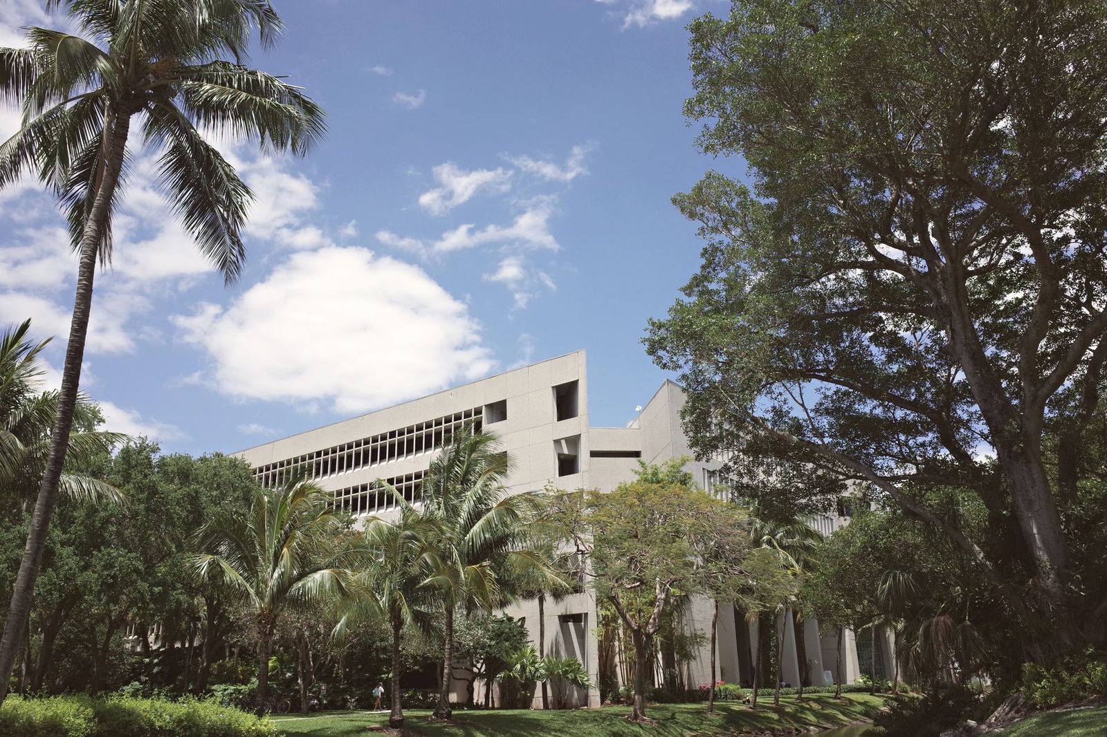 A sunny view of a modern university campus in Coral Gables, Florida, framed by palm trees and lush greenery.