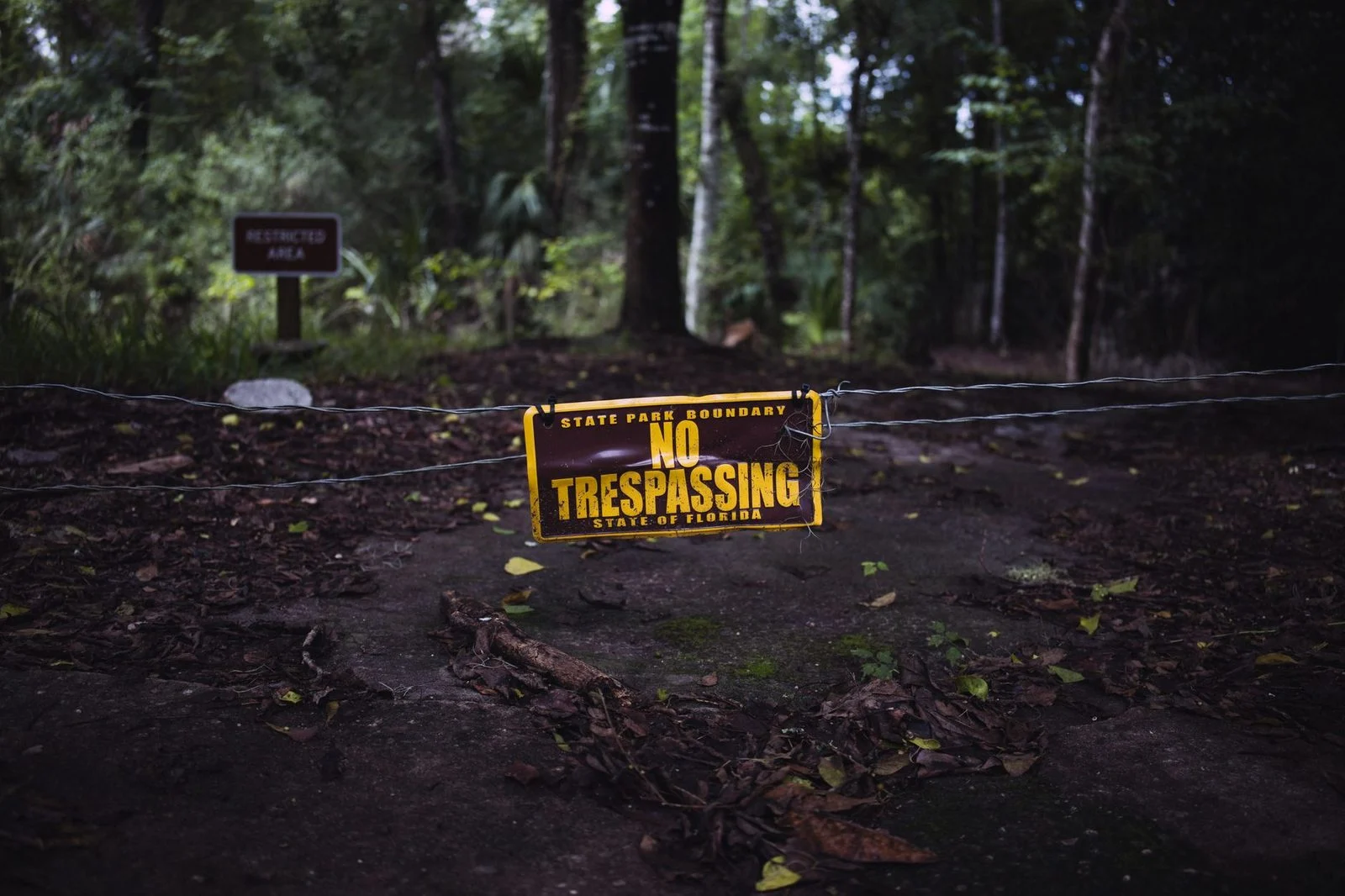 A weathered "No Trespassing" sign nailed to a tree beside a forest path in a Florida state park.