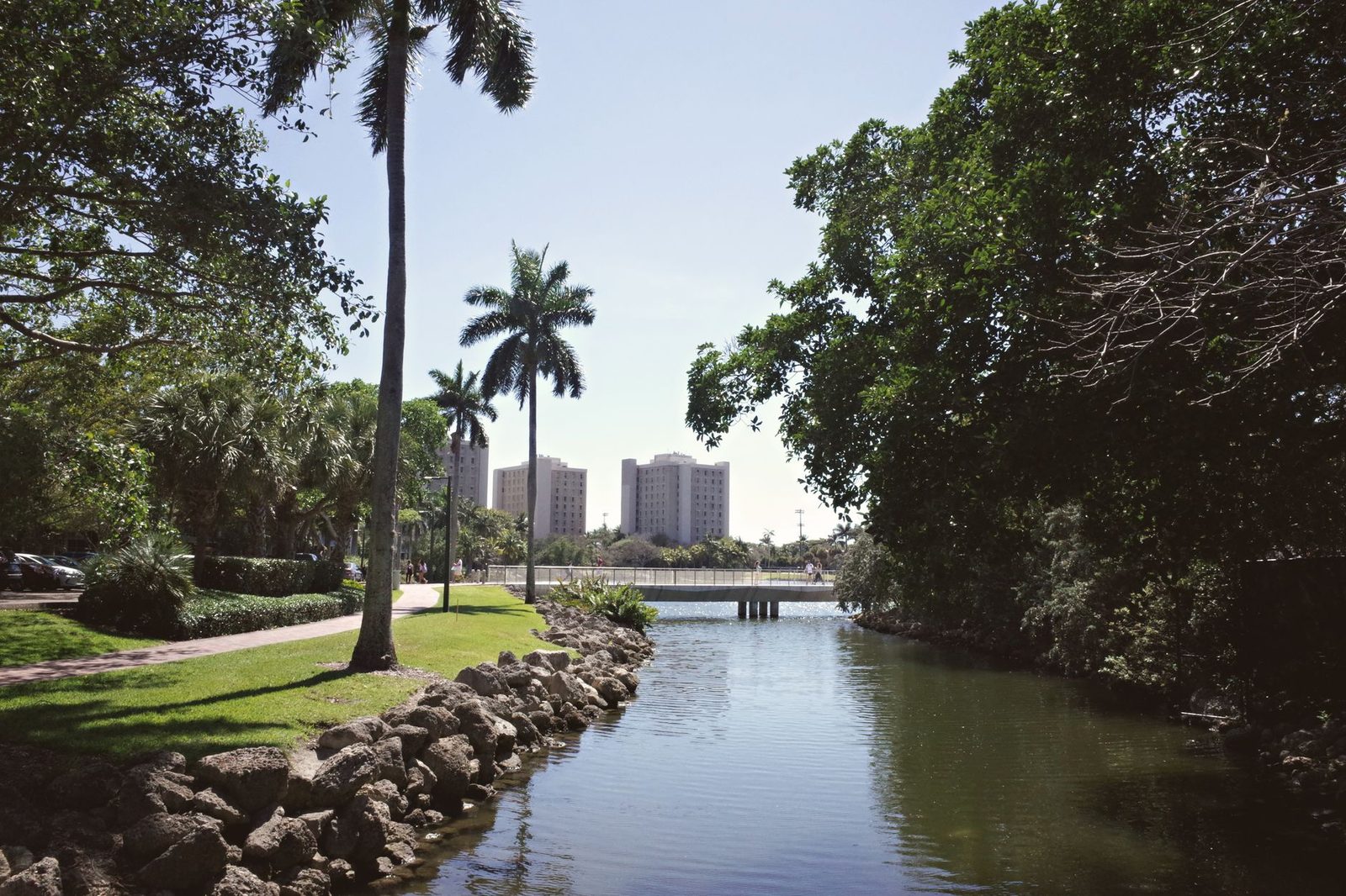 Palm trees line a calm waterway on a sunny university campus in Coral Gables, Florida.