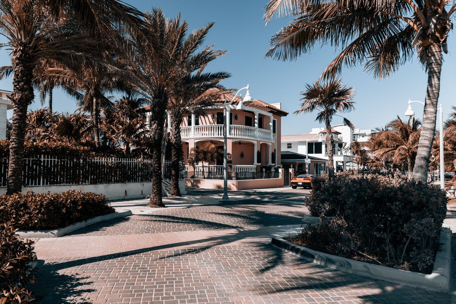 Sunny street in Hollywood, Florida, lined with palm trees in front of a tropical-style house.
