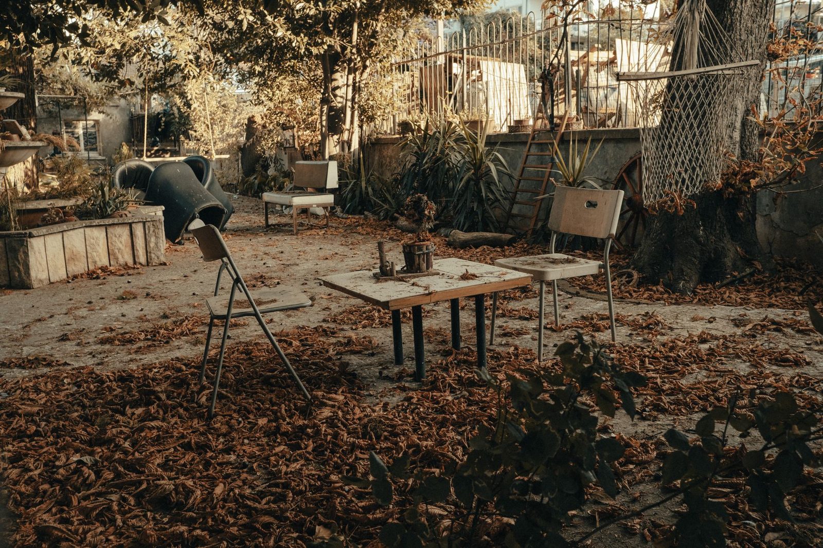Weathered wooden chairs and a table sit among fallen autumn leaves in an overgrown, abandoned garden.