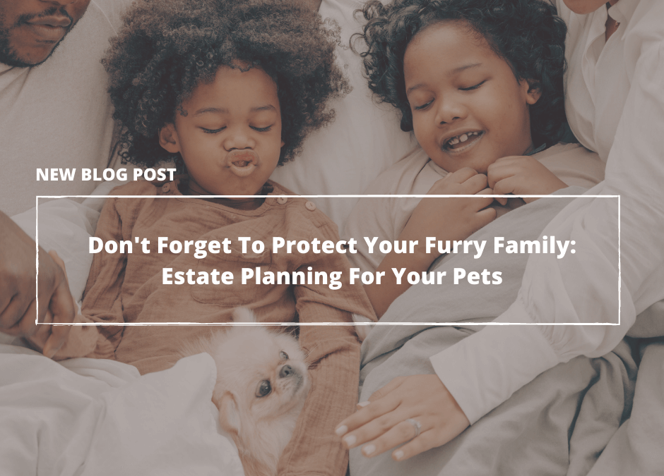 Don’t Forget To Protect Your Furry Family: Estate Planning For Your Pets