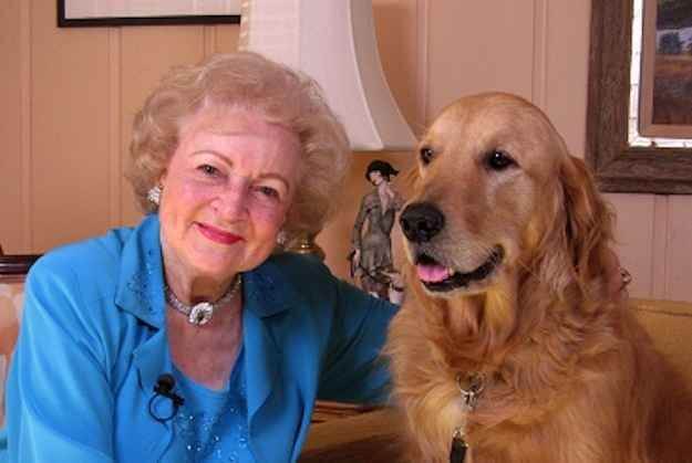 The Golden Girl- and her Golden Retriever: Examining Betty White’s Rumored Estate Plans in the Wake of Her Passing