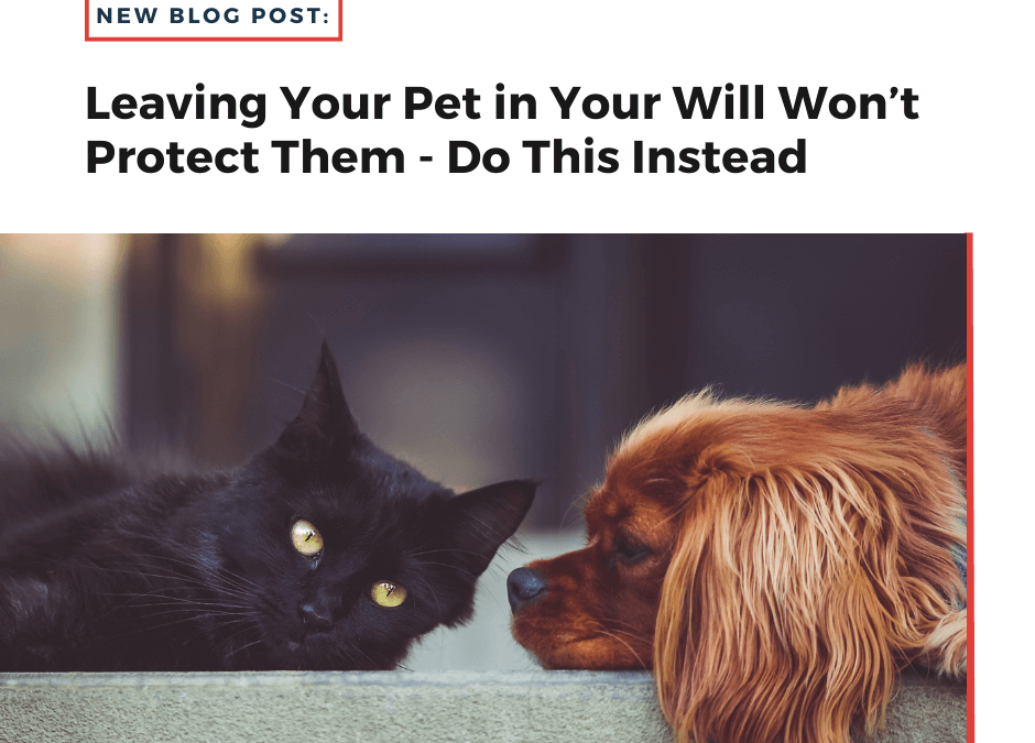 Leaving Your Pet in Your Will Won’t Protect Them – Do This Instead